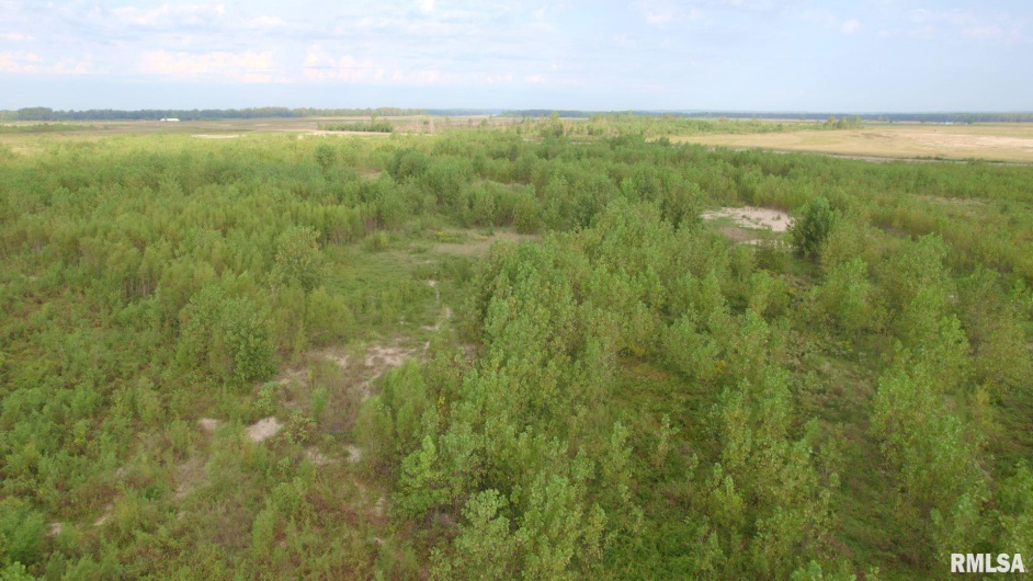 0000 WATSON Road, Miller City, Illinois 62962, 0 , 0 ,0,Land,For Sale,WATSON,0,RMACA1032822
