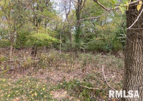 000 Barnett Avenue, Carterville, Illinois 62918, 0 , 0 ,0,Land,For Sale,Barnett,0,RMAEB455681