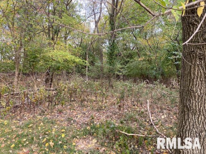 000 Barnett Avenue, Carterville, Illinois 62918, 0 , 0 ,0,Land,For Sale,Barnett,0,RMAEB455681