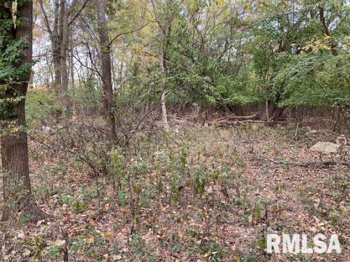 000 Barnett Avenue, Carterville, Illinois 62918, 0 , 0 ,0,Land,For Sale,Barnett,0,RMAEB455681