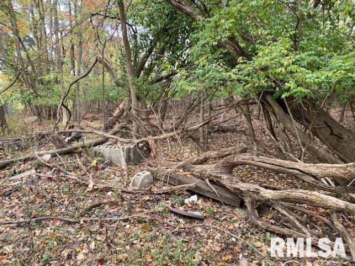 000 Barnett Avenue, Carterville, Illinois 62918, 0 , 0 ,0,Land,For Sale,Barnett,0,RMAEB455681