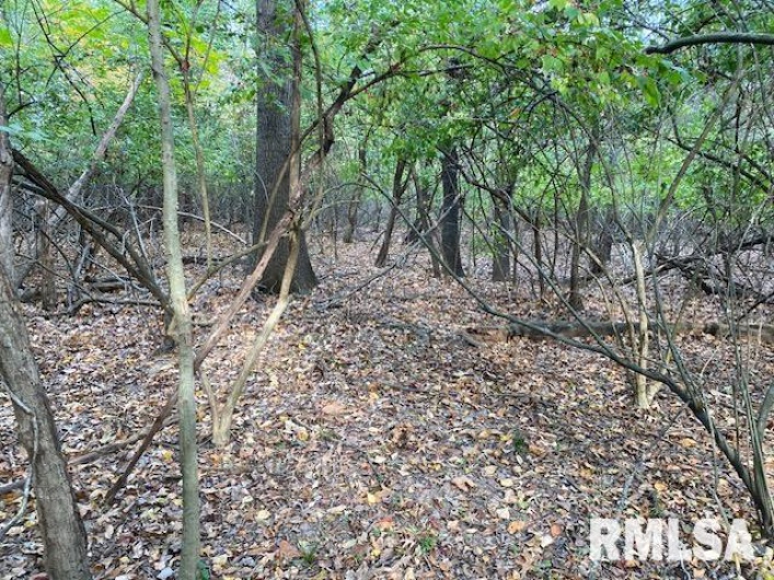 000 Barnett Avenue, Carterville, Illinois 62918, 0 , 0 ,0,Land,For Sale,Barnett,0,RMAEB455681