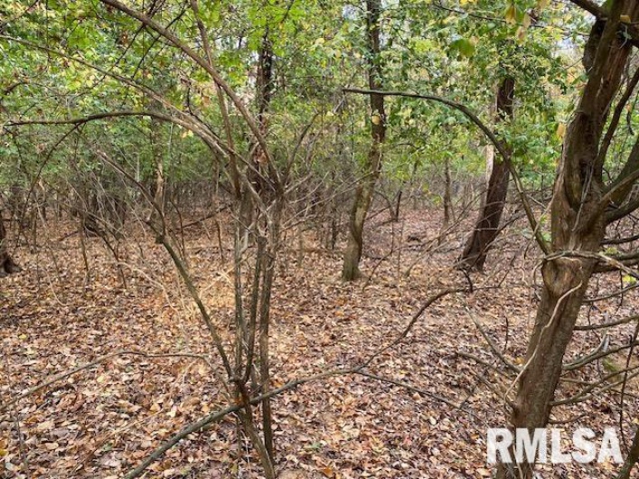 000 Barnett Avenue, Carterville, Illinois 62918, 0 , 0 ,0,Land,For Sale,Barnett,0,RMAEB455681