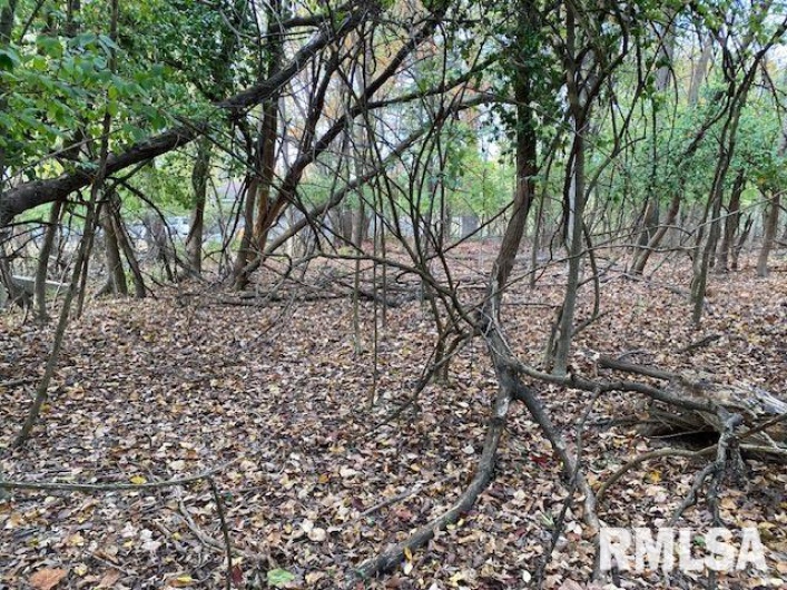 000 Barnett Avenue, Carterville, Illinois 62918, 0 , 0 ,0,Land,For Sale,Barnett,0,RMAEB455681
