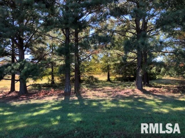 000 ARIEL Drive, Murphysboro, Illinois 62966, 0 , 0 ,0,Land,For Sale,ARIEL,0,RMAEB456079