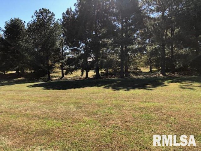 000 ARIEL Drive, Murphysboro, Illinois 62966, 0 , 0 ,0,Land,For Sale,ARIEL,0,RMAEB456079