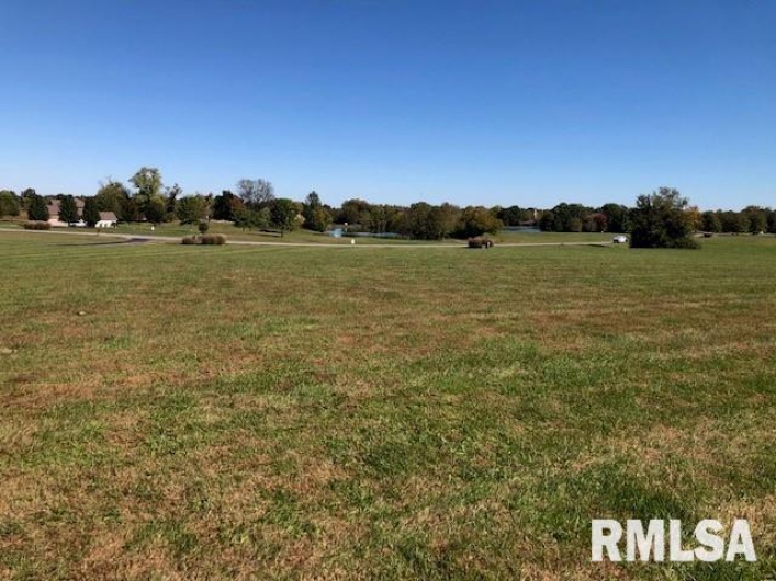 000 ARIEL Drive, Murphysboro, Illinois 62966, 0 , 0 ,0,Land,For Sale,ARIEL,0,RMAEB456079