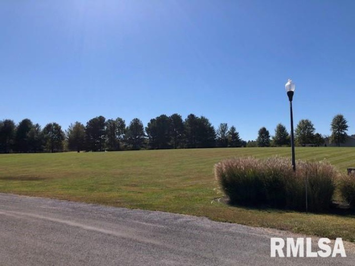 000 ARIEL Drive, Murphysboro, Illinois 62966, 0 , 0 ,0,Land,For Sale,ARIEL,0,RMAEB456079
