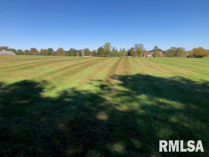 000 ARIEL Drive, Murphysboro, Illinois 62966, 0 , 0 ,0,Land,For Sale,ARIEL,0,RMAEB456079