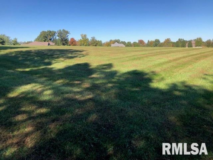 000 ARIEL Drive, Murphysboro, Illinois 62966, 0 , 0 ,0,Land,For Sale,ARIEL,0,RMAEB456079