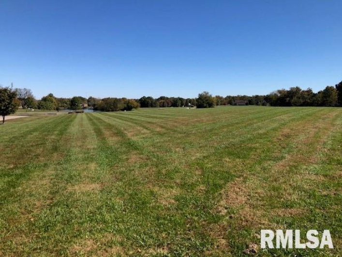 000 ARIEL Drive, Murphysboro, Illinois 62966, 0 , 0 ,0,Land,For Sale,ARIEL,0,RMAEB456079