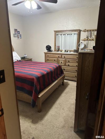 307 PINE Street, DeSoto, Illinois 62924, 3 Bedrooms Bedrooms, 0 ,2 BathroomsBathrooms,Residential,For Sale,PINE,0,RMAEB456097