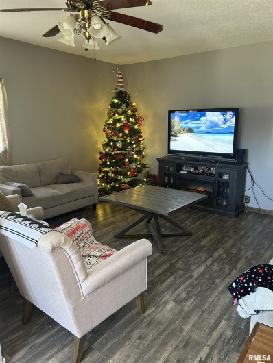 307 PINE Street, DeSoto, Illinois 62924, 3 Bedrooms Bedrooms, 0 ,2 BathroomsBathrooms,Residential,For Sale,PINE,0,RMAEB456097