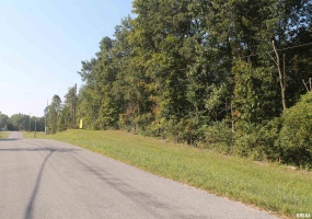 000 COUNTY LINE Road, Carbondale, Illinois 62901, 0 , 0 ,0,Land,For Sale,COUNTY LINE,0,RMAEB455148