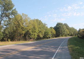 000 US Hwy 51 Highway, DeSoto, Illinois 62924, 0 , 0 ,0,Land,For Sale,US Hwy 51,0,RMAEB455147