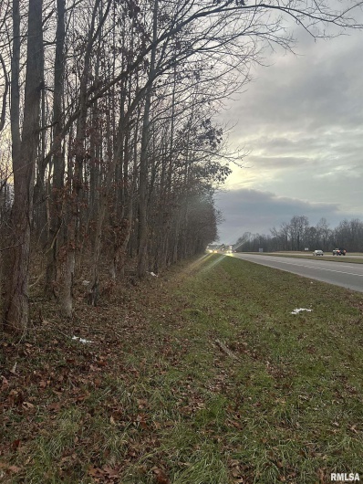 Birkner Lane, Murphysboro, Illinois 62966, 0 , 0 ,0,Commercial Sale,For Sale,Birkner,0,RMAEB456160