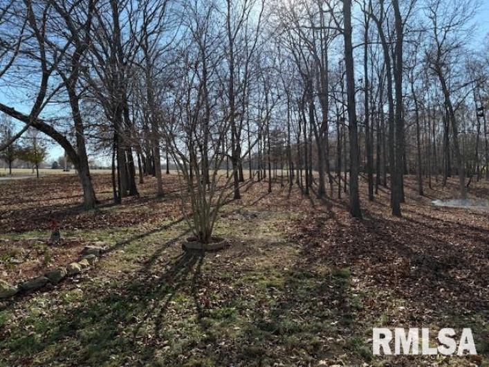 14892 Fowler School Road, Marion, Illinois 62959, 4 Bedrooms Bedrooms, 0 ,2 BathroomsBathrooms,Residential,For Sale,Fowler School,0,RMAEB456204
