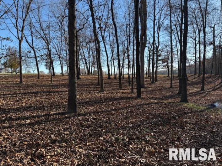 14892 Fowler School Road, Marion, Illinois 62959, 4 Bedrooms Bedrooms, 0 ,2 BathroomsBathrooms,Residential,For Sale,Fowler School,0,RMAEB456204