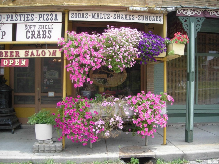 6 MAIN Street, Alto Pass, Illinois 62905, 0 , 0 ,0,Commercial Sale,For Sale,MAIN,0,RMAEB456342
