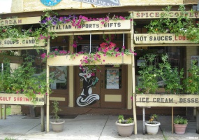 5 MAIN Street, Alto Pass, Illinois 62905, 0 , 0 ,0,Commercial Sale,For Sale,MAIN,0,RMAEB456341