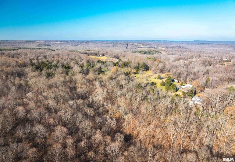 1600 ALBERT Street, Golconda, Illinois 62938, 4 Bedrooms Bedrooms, 0 ,2 BathroomsBathrooms,Land,For Sale,ALBERT,0,RMAEB456306