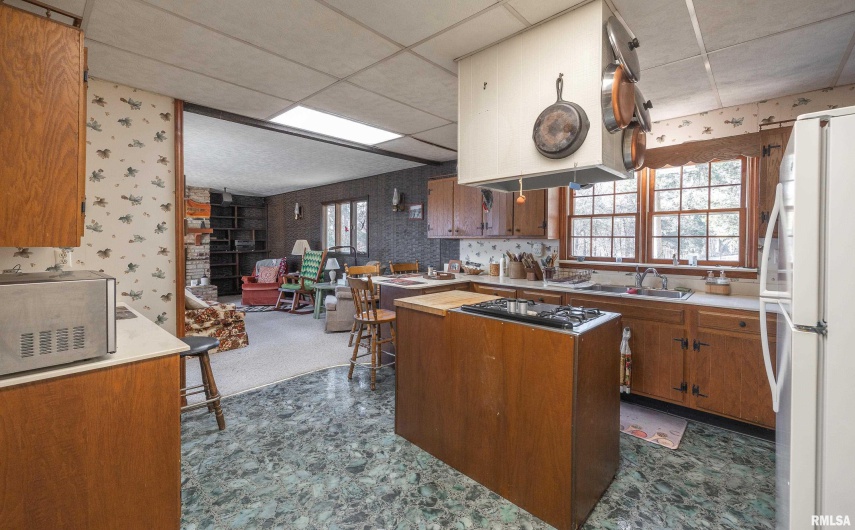 1600 ALBERT Street, Golconda, Illinois 62938, 4 Bedrooms Bedrooms, 0 ,2 BathroomsBathrooms,Land,For Sale,ALBERT,0,RMAEB456306