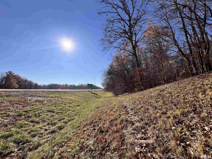 001 US Hwy 51 Road, Dongola, Illinois 62926, 0 , 0 ,0,Land,For Sale,US Hwy 51,0,RMAEB456058