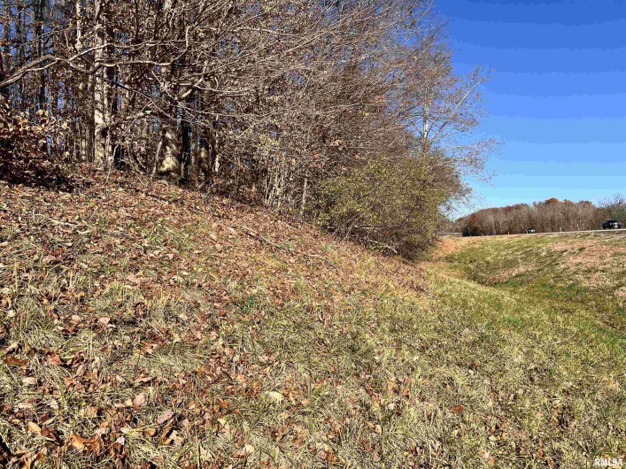 001 US Hwy 51 Road, Dongola, Illinois 62926, 0 , 0 ,0,Land,For Sale,US Hwy 51,0,RMAEB456058