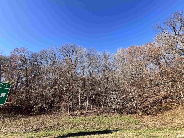 001 US Hwy 51 Road, Dongola, Illinois 62926, 0 , 0 ,0,Land,For Sale,US Hwy 51,0,RMAEB456058
