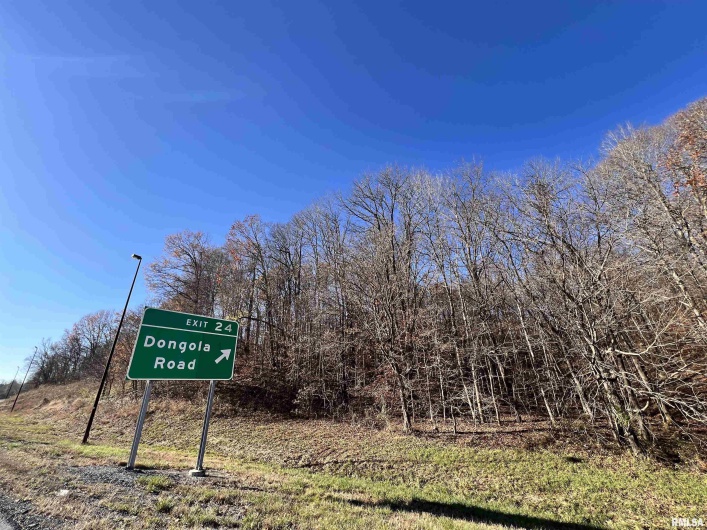 001 US Hwy 51 Road, Dongola, Illinois 62926, 0 , 0 ,0,Land,For Sale,US Hwy 51,0,RMAEB456058