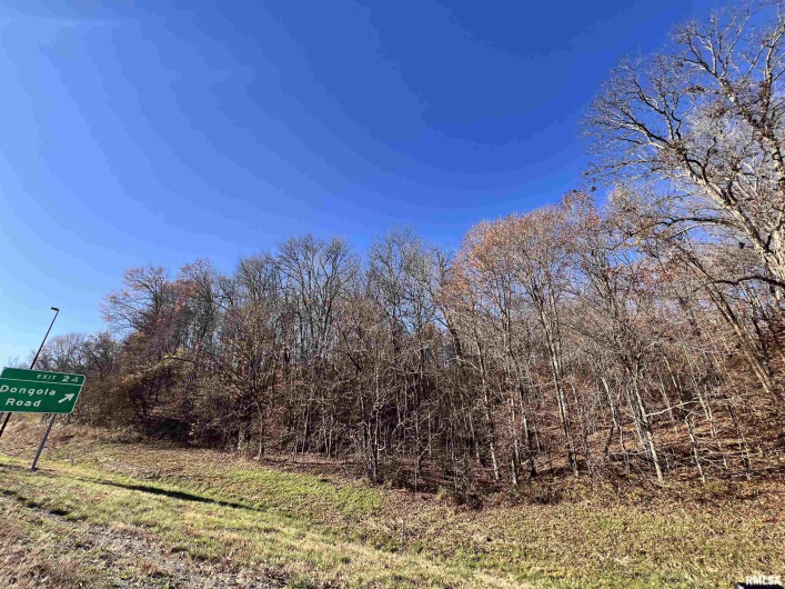 001 US Hwy 51 Road, Dongola, Illinois 62926, 0 , 0 ,0,Land,For Sale,US Hwy 51,0,RMAEB456058