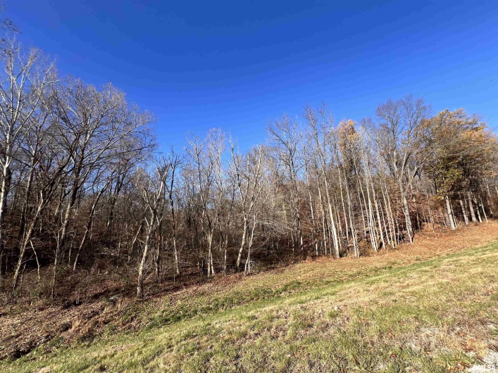 001 US Hwy 51 Road, Dongola, Illinois 62926, 0 , 0 ,0,Land,For Sale,US Hwy 51,0,RMAEB456058