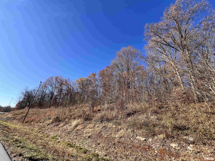 001 US Hwy 51 Road, Dongola, Illinois 62926, 0 , 0 ,0,Land,For Sale,US Hwy 51,0,RMAEB456058