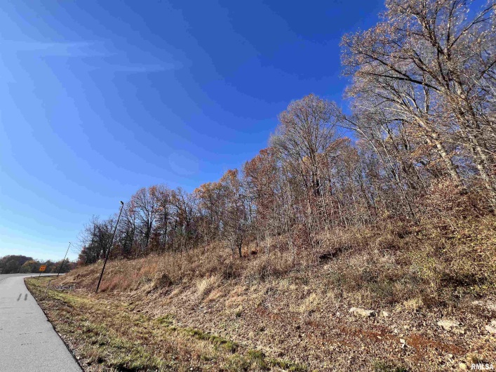 001 US Hwy 51 Road, Dongola, Illinois 62926, 0 , 0 ,0,Land,For Sale,US Hwy 51,0,RMAEB456058