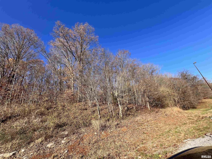 001 US Hwy 51 Road, Dongola, Illinois 62926, 0 , 0 ,0,Land,For Sale,US Hwy 51,0,RMAEB456058