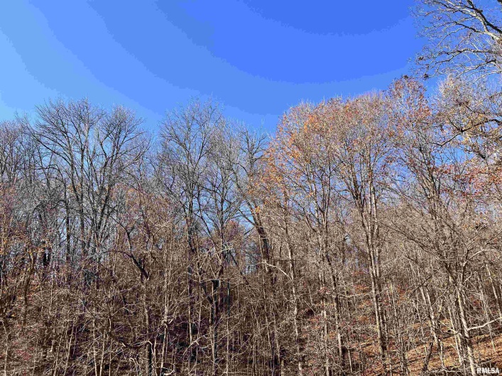 001 US Hwy 51 Road, Dongola, Illinois 62926, 0 , 0 ,0,Land,For Sale,US Hwy 51,0,RMAEB456058