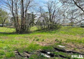 00 LEWIS Street, Golconda, Illinois 62938, 0 , 0 ,0,Land,For Sale,LEWIS,0,RMAEB456425