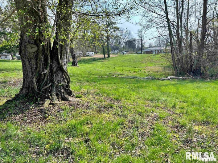 00 LEWIS Street, Golconda, Illinois 62938, 0 , 0 ,0,Land,For Sale,LEWIS,0,RMAEB456425