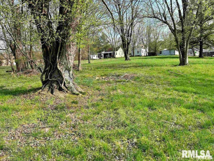 00 LEWIS Street, Golconda, Illinois 62938, 0 , 0 ,0,Land,For Sale,LEWIS,0,RMAEB456425