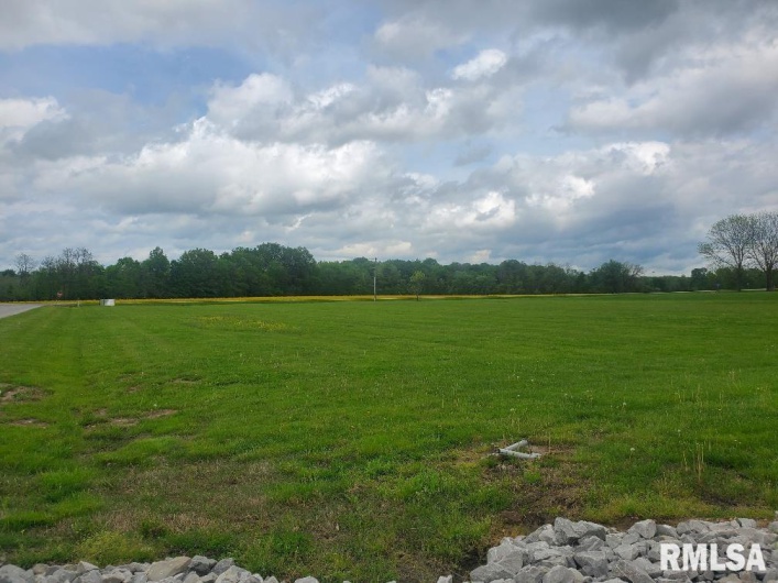 tbd Shawnee College Road, Ullin, Illinois 62992, 0 , 0 ,0,Land,For Sale,Shawnee College,0,RMAEB456482