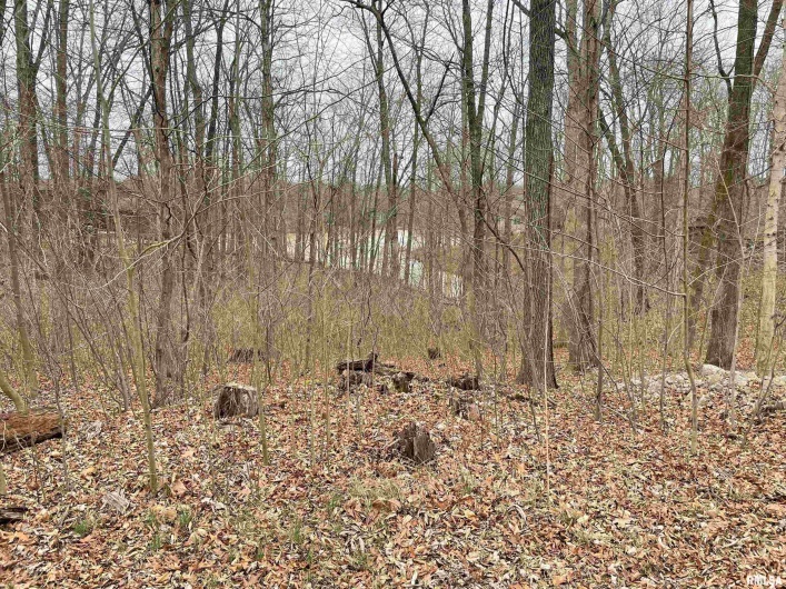 0000 IROQUOIS Trail, Murphysboro, Illinois 62966, 0 , 0 ,0,Land,For Sale,IROQUOIS,0,RMAEB456472