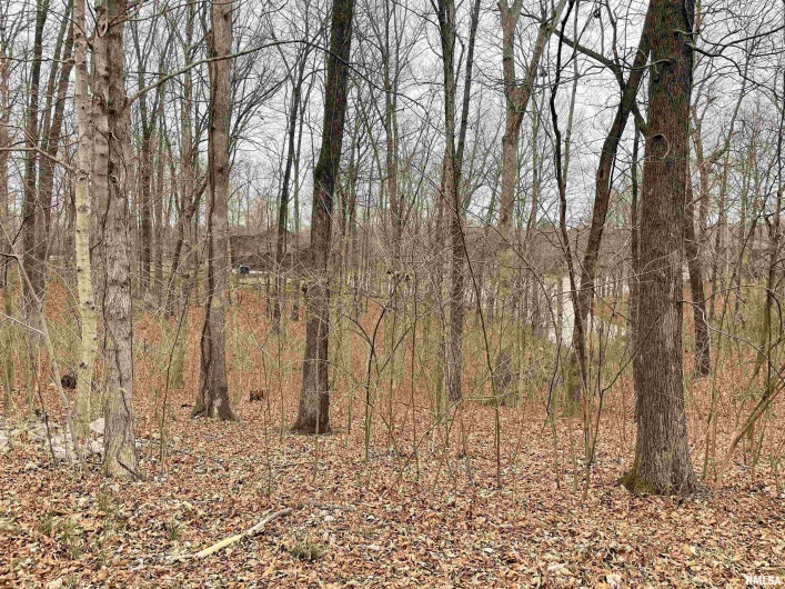 0000 IROQUOIS Trail, Murphysboro, Illinois 62966, 0 , 0 ,0,Land,For Sale,IROQUOIS,0,RMAEB456472
