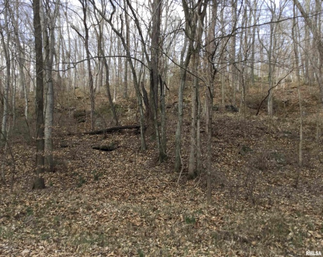 920 Kratzinger Hollow Road, Cobden, Illinois 62920, 1 Bedroom Bedrooms, 0 ,0,Land,For Sale,Kratzinger Hollow,0,RMAQC4259952