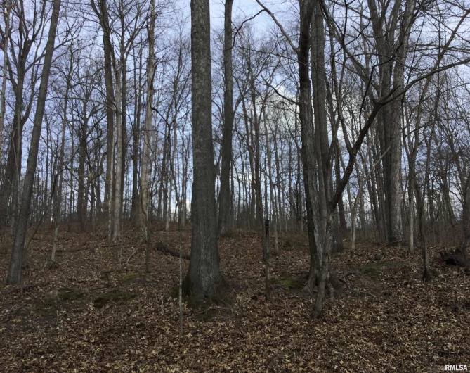 920 Kratzinger Hollow Road, Cobden, Illinois 62920, 1 Bedroom Bedrooms, 0 ,0,Land,For Sale,Kratzinger Hollow,0,RMAQC4259952
