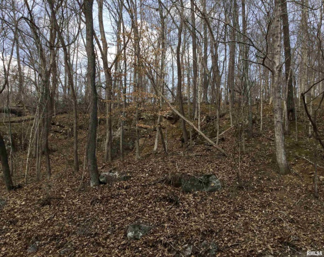 920 Kratzinger Hollow Road, Cobden, Illinois 62920, 1 Bedroom Bedrooms, 0 ,0,Land,For Sale,Kratzinger Hollow,0,RMAQC4259952