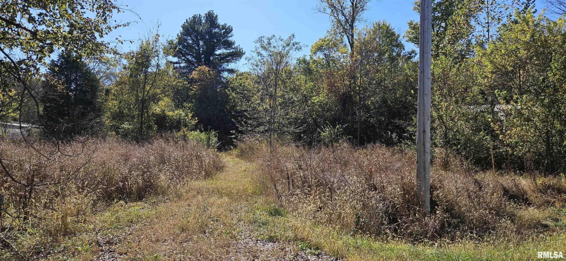 3434 Boskydell Road, Carbondale, Illinois 62903, 0 , 0 ,0,Land,For Sale,Boskydell,0,RMAEB455588
