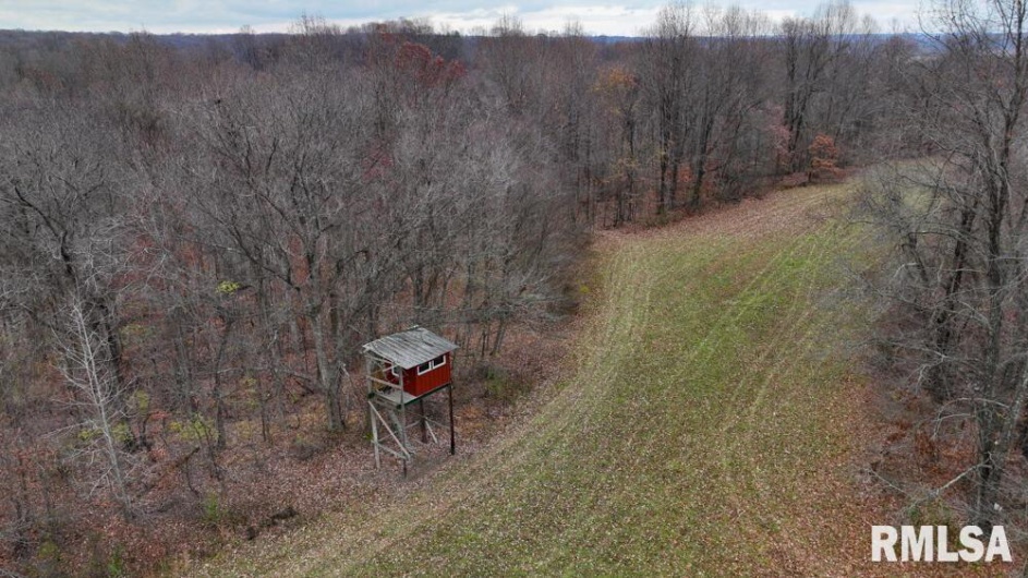 25065 Rock Springs Hollow Road, Thebes, Illinois 62990, 2 Bedrooms Bedrooms, 0 ,2 BathroomsBathrooms,Residential,For Sale,Rock Springs Hollow,0,RMAQC4260120