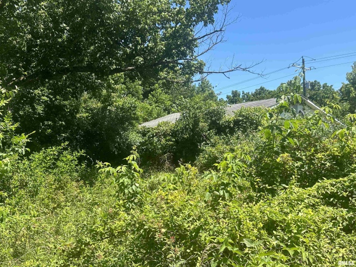 5672 Old Route 13 Road, Carterville, Illinois 62918, 3 Bedrooms Bedrooms, 0 ,2 BathroomsBathrooms,Residential,For Sale,Old Route 13,0,RMAEB454182