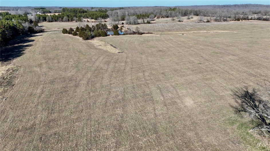 0 County Road 804, Glen Allen, Missouri 63751, ,Farm,For Sale,County Road 804,MAR25005693
