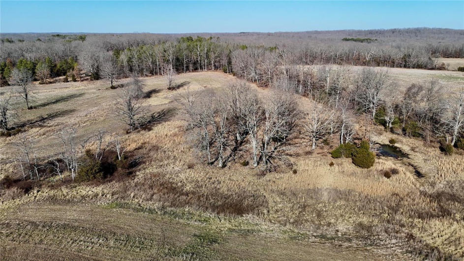 0 County Road 804, Glen Allen, Missouri 63751, ,Farm,For Sale,County Road 804,MAR25005693